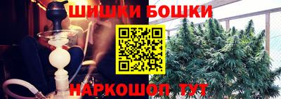 бошки Шебекино