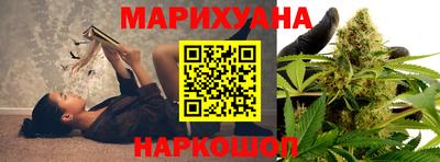 бошки Шебекино