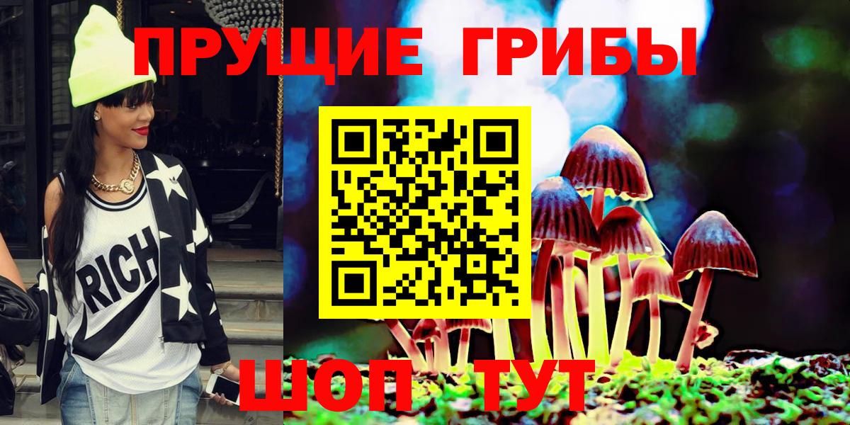 Алейск  Галлюциногенные грибы Cubensis  Вход с VPN 