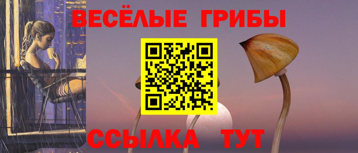 Галлюциногенные грибы Magic Shrooms Алейск